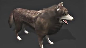 Wolf Rigged and Game-Ready - WIP 45 - Blender