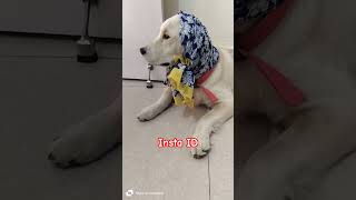Aisse kon insta chalata hai #trending #comedy #funny #viral