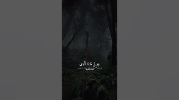 ايات قرانيه قصيره { قل إنما العلم عند الله وإنما أنا نذير مبين } سورة الملك ارح قلبك💛.