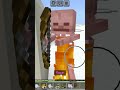 Day 17 of killing a skeleton until I have a house made of bones #minecraft