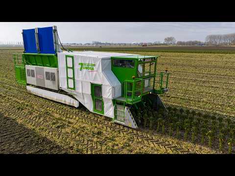 Brussels Sprout Harvest Robot New Combine More Franzen Agriculture Harvest 2025 
