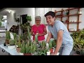 Conociendo Todas Las Variedades De Cactus Y Suculentas De Mi Mamá