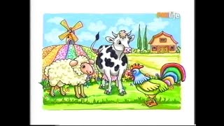 Babytv Art - Gallo