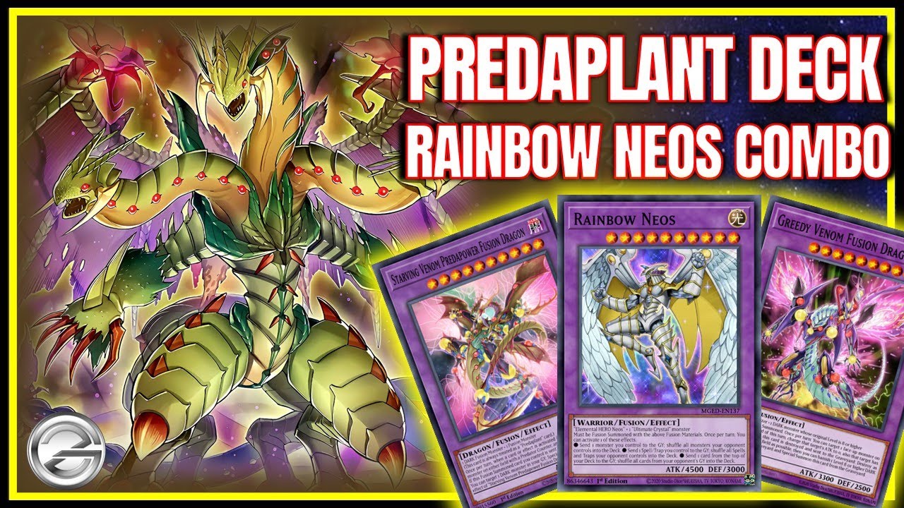 Predaplant Fusion Dragon + Rainbow Neos Combo That Completely Breaks the Board!