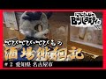 【にじバラ仮外伝】でびでび・でびるの酒場徘徊記＃２【愛知県名古屋市】