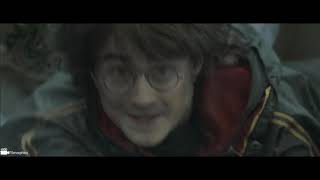 The First Task (Part 3) | Harry Potter and the Goblet of Fire