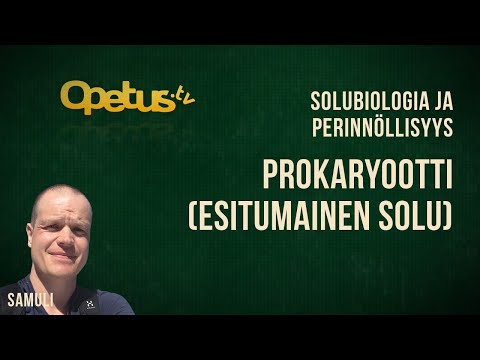 Video: Mitä rakenteita löytyy prokaryoottisoluista?