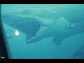 Unseen: A Jaws Documentary