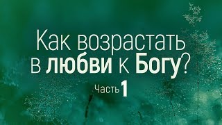 Как возрастать в любви к Богу? / часть 1 (Виталий Рожко)