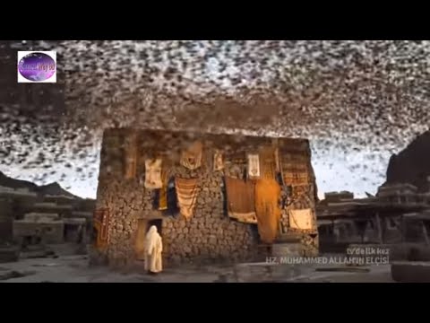 Come Allah protese la Mecca con l’aiuto degli uccelli Ababil?