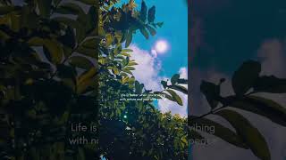 Peace of Mind Status ✨ | #Nightcore #NatureVibes #Sukoon