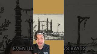 Where Did The Boston Neck Go