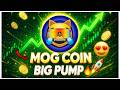 Mog Coin Going Upside Today  😍 Mog Coin Big News  || Mog Crypto Prediction - Mog Price Prediction