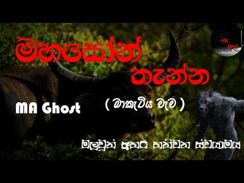 මහසෝන් තැන්න | @MAGhost | සත්‍ය හොල්මන් කතාවක් | holman katha | ghost story 82