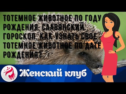 Тотемное животное по году рождения: славянский гороскоп. Как узнать свое тотемное животное по дате.