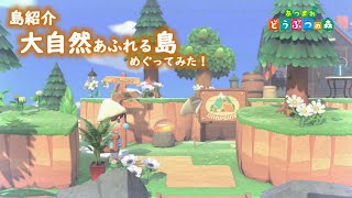 あつ森 花畑や花壇を自然に見せる色の組み合わせを調べてみた あつまれどうぶつの森 あつまれ動物の森 まとめ動画 あつ森 花畑や花壇を自然に見せる色の組み合わせを調べてみた あつまれどうぶつの森 あつまれ動物の森 まとめ動画
