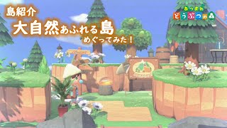 自然な崖 あつ森 【あつ森】島を全体的に大改造！「高低差」「ななめ道」が島を広く見せるコツ！崖の上を整備するぞ！part26【あつまれどうぶつの森】【島クリエイター】 │