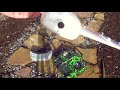 Beginning of video