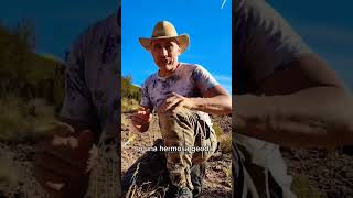 Tips for finding crystals and geodes. #gemstones #crystals #quartz #minerals #shorts