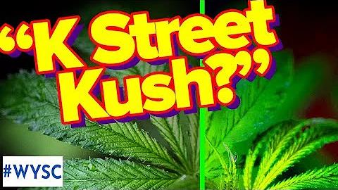 K Street Lobbyists getting kushie with cannabis industry