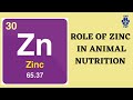 Role of zinc in animal nutrition