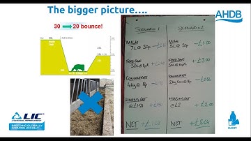Webinar: Strategic ways of reducing dairy costs and outputs