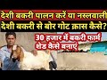 #goatfarm #boergoat। देशी बकरीपालन अच्छा या नस्लवाली।।deshi bakri palan accha hai ya nasal wali ।