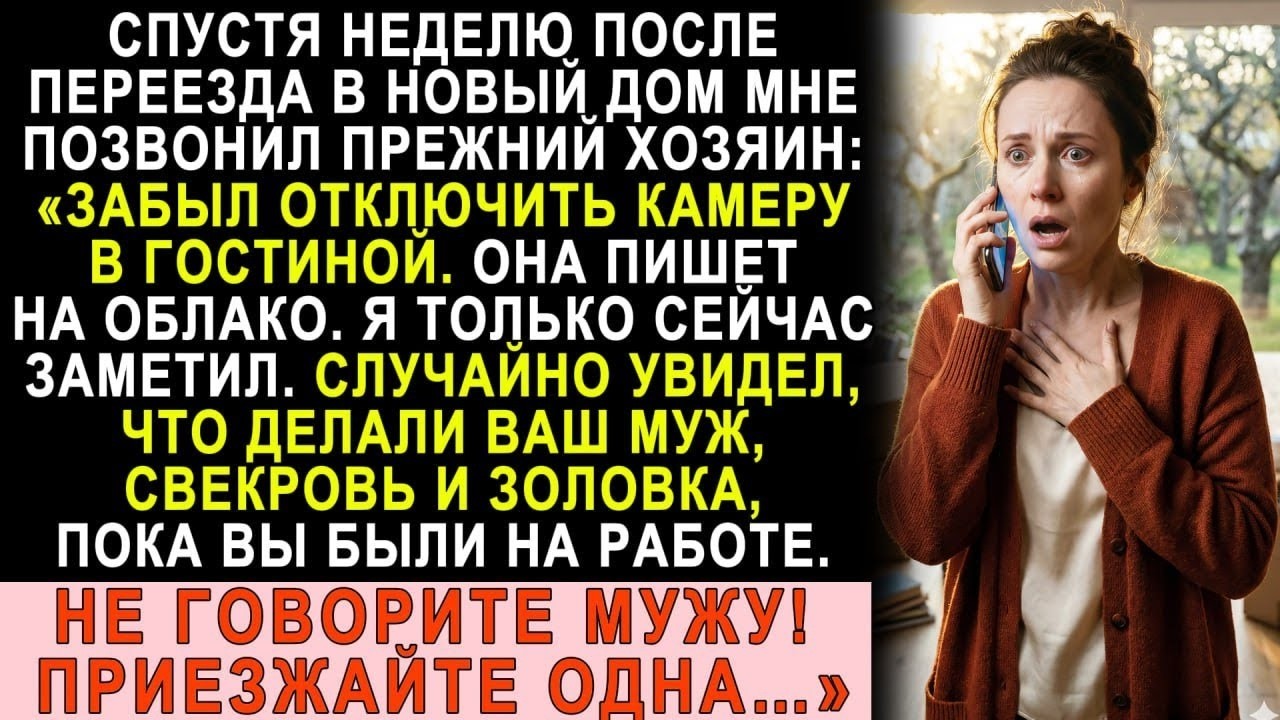 После переезда позвонил бывший хозяин  «Мужу ни слова! Вы должны это увидеть!»