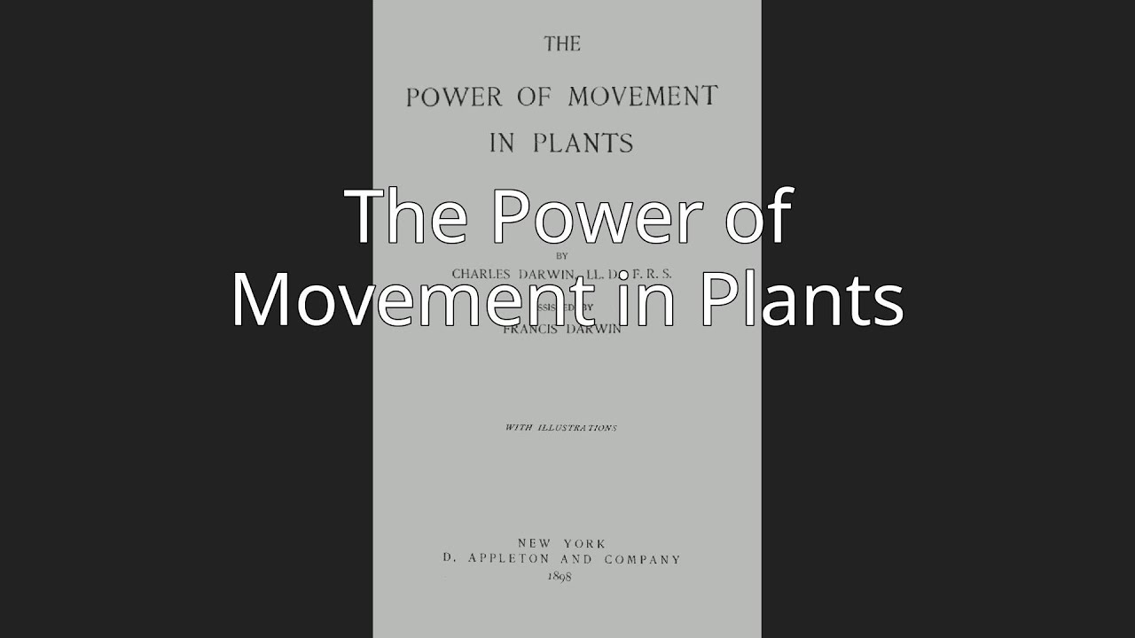 The Power of Movement in Plants