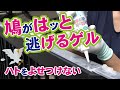 【ハト対策】鳩がハッと逃げるゲル 環境にやさしいハト除け剤、撒くだけ簡単安心・安全な忌避剤です。