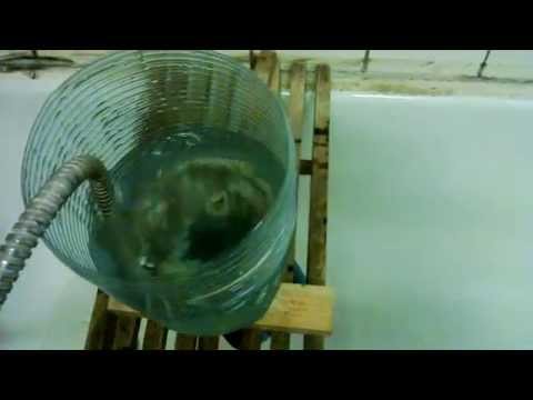 Циркуляционный насос как повышающий 2