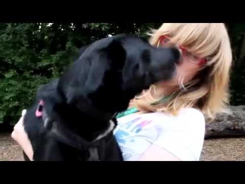 Epic Border Collie x Lab Betsy Does Amazing Dog Tricks!