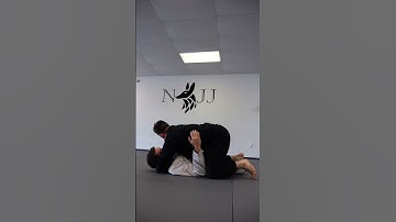 Destroy Their Half Guard With This 👀🥋#bjj #martialarts #jiujitsu