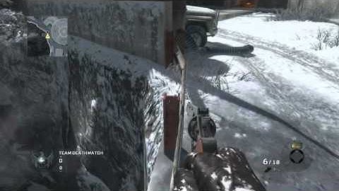 Black Ops New Array Glitch.