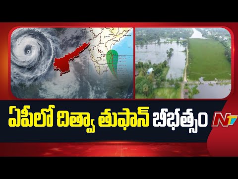 Cyclone Ditwah impact: Tamil Nadu & Andhra Pradesh on High Alert | NTV Telugu - NTVTELUGU
