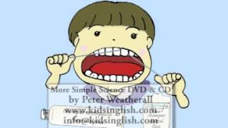 Teeth Song by Peter Weatherall (More Simple Science DVD)