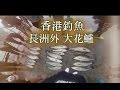 香港釣魚 釣魚比賽 釣大鱸魚