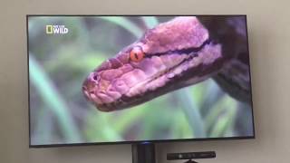 Worlds Deadliest Animals Asia Pacific