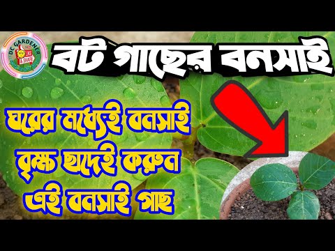 ভিডিও: সিএসে কীভাবে বট চালানো যায়