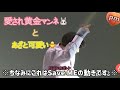 【防弾少年団/BTS】いろんなグクとジミンちゃんそれぞれちょこっと集めてみた【日本語字幕】