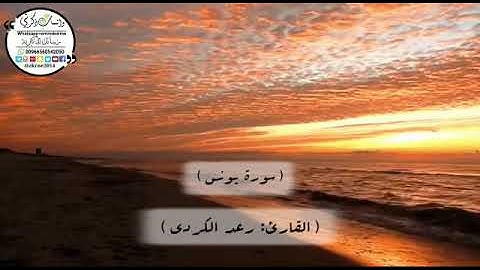 التلاوة الخاشعة.. رعد الكردي