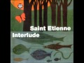 Saint etienne  red setter