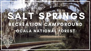 Tour Salt Springs Recreation Area Ocala National Forest | Finding Our Spot by Finding our spot 3,263 views 3 years ago 8 minutes, 56 seconds