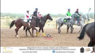 FINAL DEL DERBY G1 ZUAZUA