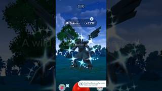 Indeedee, shiny ✨ zekrom 🔥and many reward in pokémon go