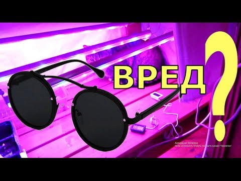 Есть ли ВРЕД ОТ ФИТОЛАМП. Влияние спектра