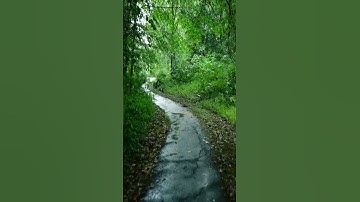 تلاوات مختارة / يونس اسويلص ( وَتَصِفُ أَلْسِنَتُهُمُ الْكَذِبَ ,,, )