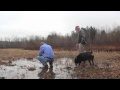 Landowner transforms hay field into wetland