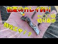 【期間限定⁉】初夏のカレイ釣りで入れ食いになる餌が意外過ぎた！【北海道　砂浜　カレイ　投げ釣り　】