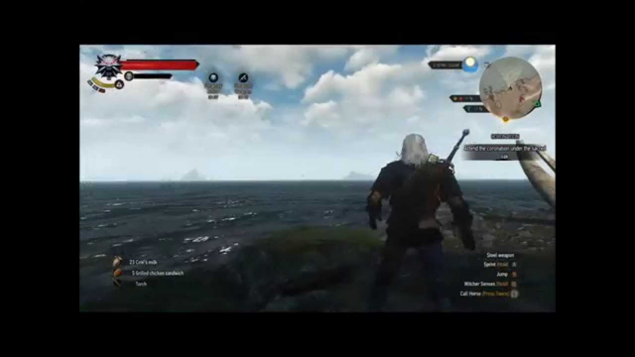 Witcher 3 Wild Hunt - Dismember!!